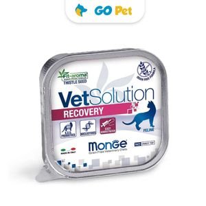 Monge VetSolution Feline Recovery 100gr