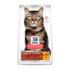 Hills SD Feline Hairball Control 7+ Active Longetivy 1.6 kg – Adultos Mayores Control de Bolas de Pelo