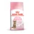 Royal Canin FHN Kitten Sterilised – Gatitos 2 Kg