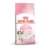 Royal Canin FHN Kitten – Gatitos 2 Kg