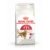 Royal Canin Gato Fhn Fit 32 2 Kg