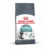Royal Canin Gato Fcn Hairball Care 2 Kg