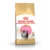 Royal Canin FBN Persian Kitten – Gatitos Persas 2 Kg