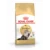 Royal Canin FBN Persian – Gatos Persas 4 Kg