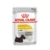 Royal Canin Perro Ccn Dermacomfort 85 g