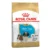 Royal Canin Perro Bhn Shih Tzu Puppy 1.5 Kg