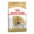 Royal Canin Perro Bhn Pug Adult 3 Kg