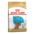 Royal Canin Perro Bhn Poodle Puppy 3 Kg