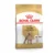 Royal Canin Perro Bhn Poodle Adult 1.5 Kg