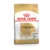 Royal Canin Perro Bhn Chihuahua Adult 3 Kg