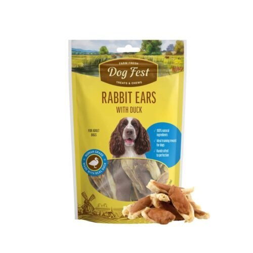 Dog Fest Rabbit Ears with Duck